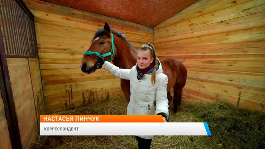 Настасья Пинчук, корреспондент