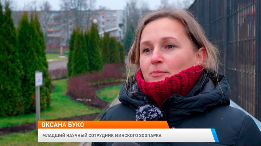 Оксана Буко, младший научный сотрудник Минского зоопарка