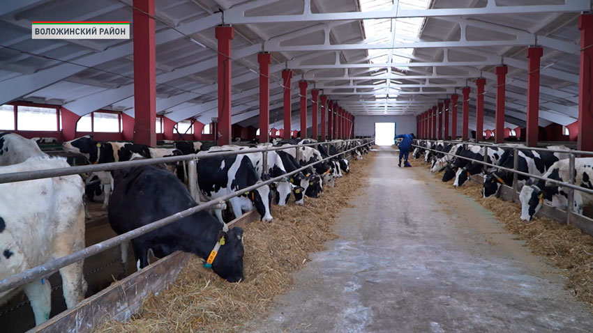 В Минской области строят новые МТК и профилактории