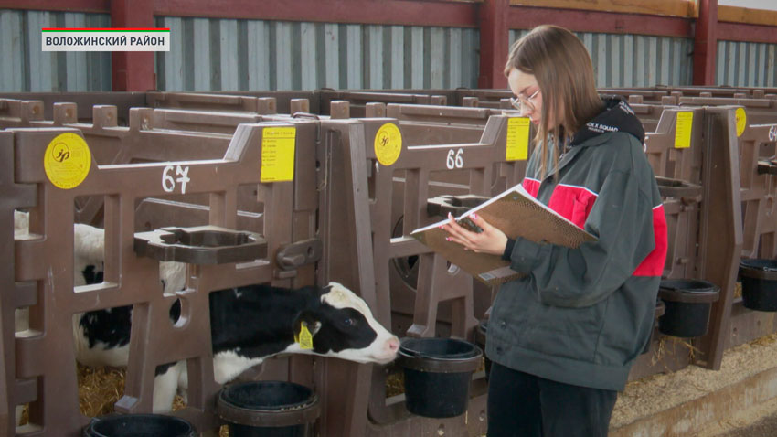 В Минской области утверждены новые меры поддержки работников АПК