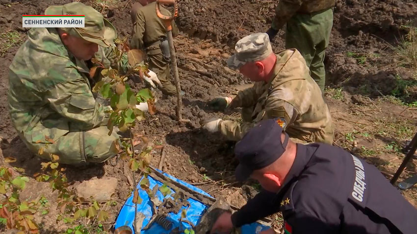 В Сенненском районе идут поисковые работы запчастей советского самолёта Петляков-2