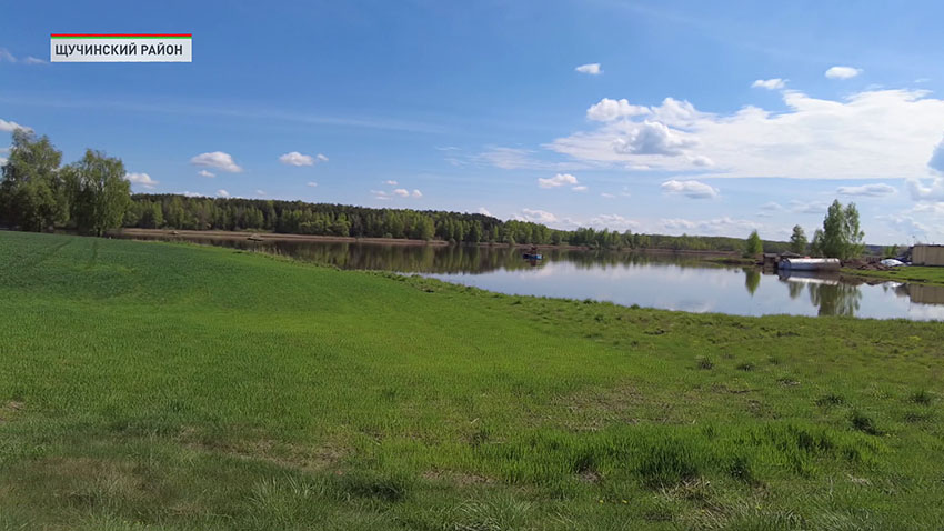 Василишки