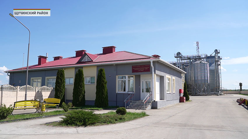 Василишки