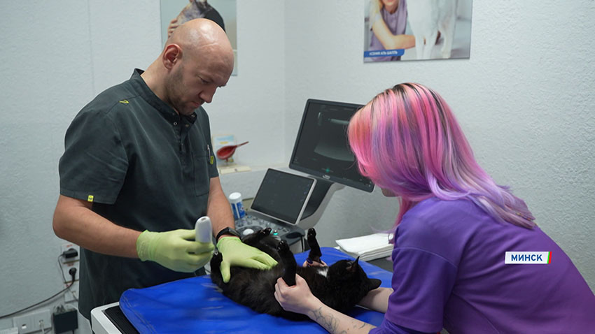 Ветклиники