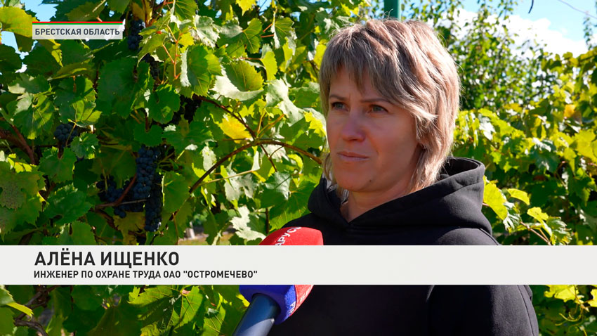 Алкена Ищенко, инженер по охране труда ОАО «Остромечево»