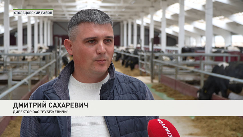 Комплексы