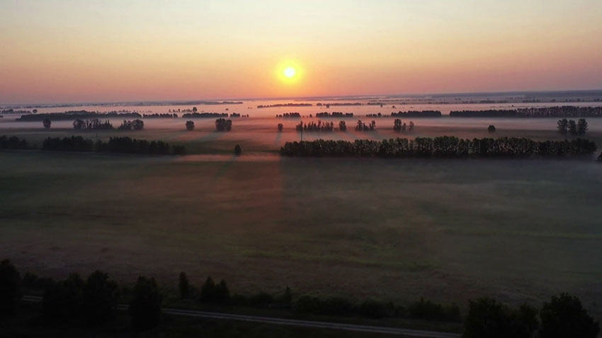 Гомель