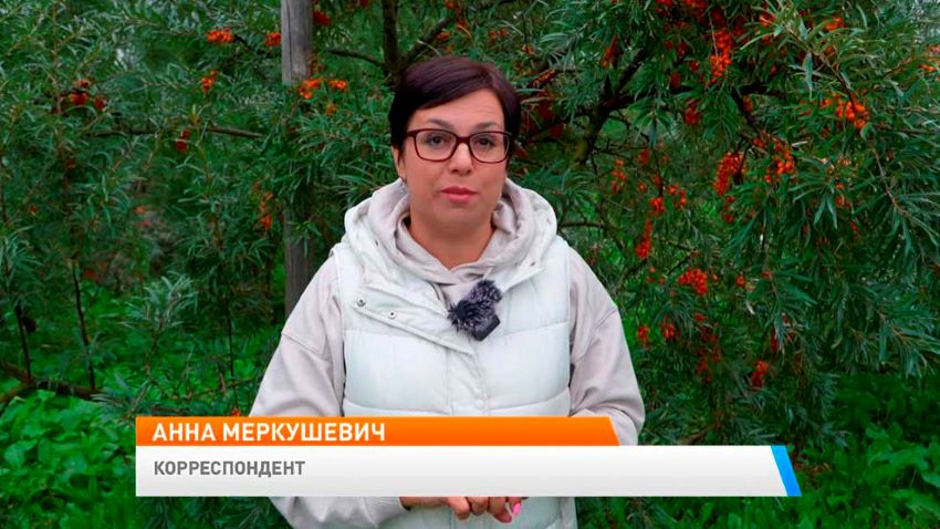 Новое утро