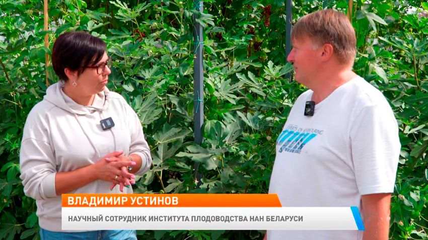 Новое утро