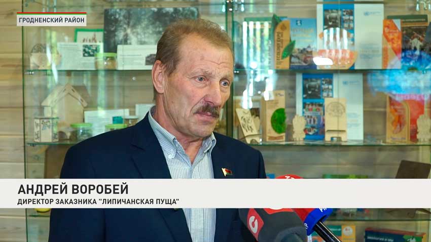 Андрей Воробей