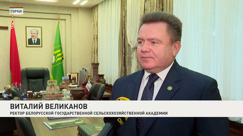 Виталий Великанов