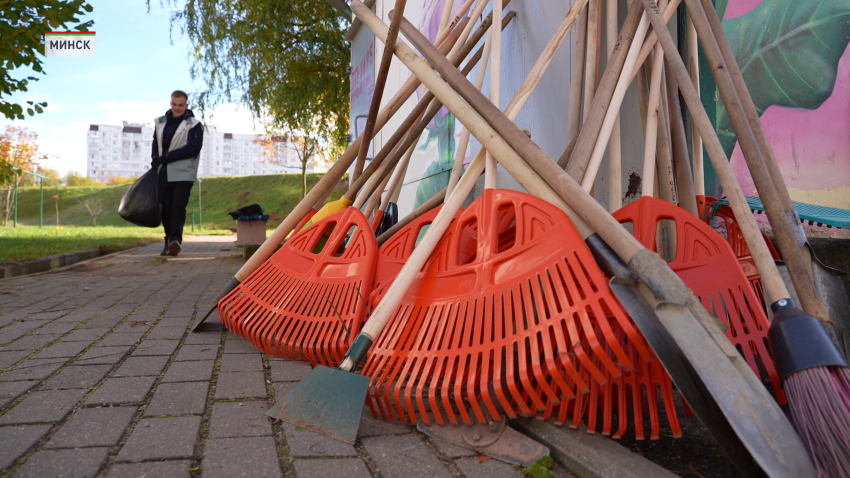 Республиканский субботник пройдёт в Беларуси 25 октября