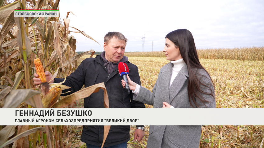 Геннадий Безушко