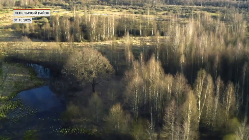 Березинский биосферный заповедник