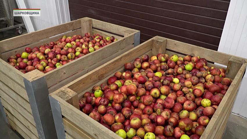 В преддверии 7 ноября в Беларуси введены в строй значимые для экономики и социальной сферы объекты