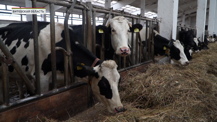 сельское хозяйство