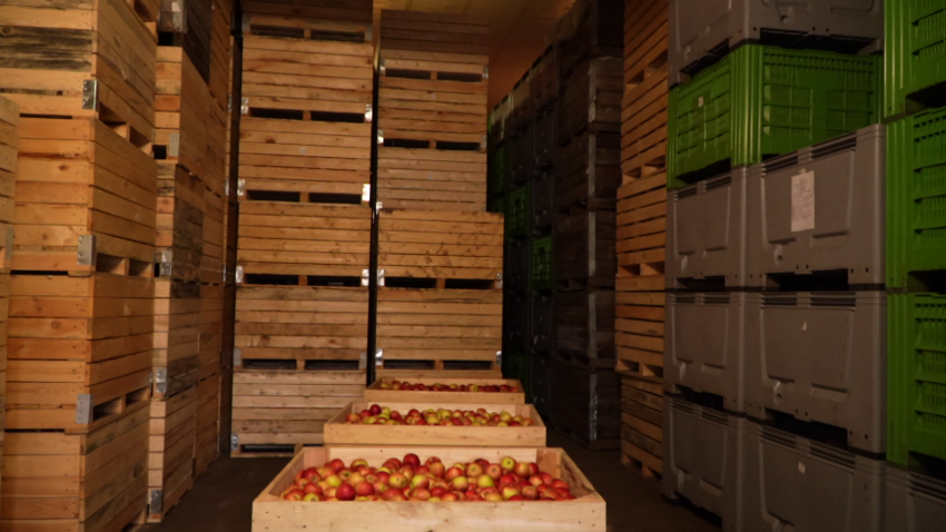 В Беларуси завершается формирование стабфондов