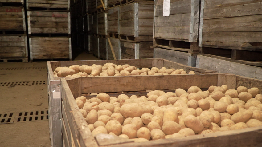 В Беларуси завершается формирование стабфондов