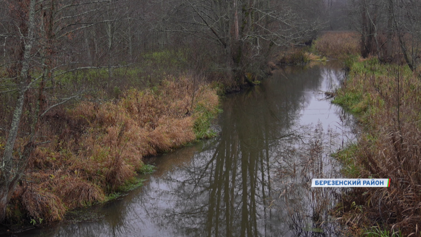 Трагедия в Березинском районе – стали известны новые подробности в деле о гибели Максима Зеньковича