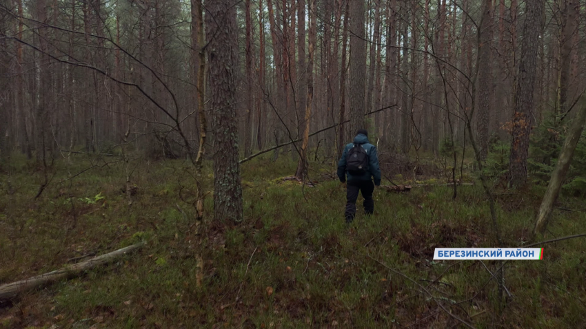 Трагедия в Березинском районе – стали известны новые подробности в деле о гибели Максима Зеньковича