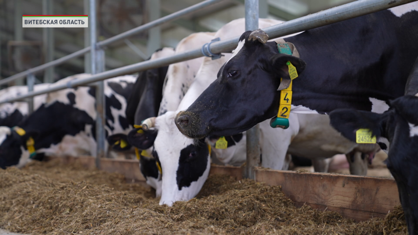 сельское хозяйство