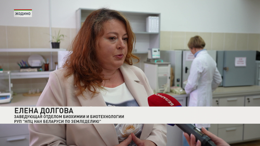 Елена Долгова