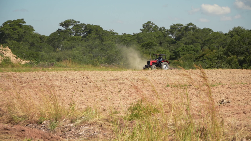 сельское хозяйство