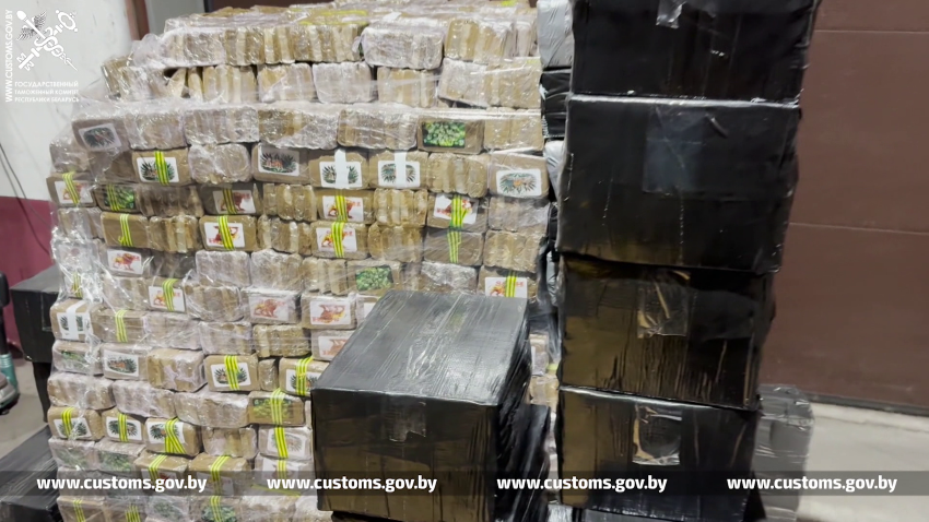 Более тонны запрещённых веществ! Фура с гашишем и мефедроном из Польши задержана в Беларуси