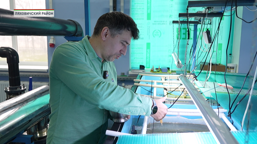 Владимир Готовчиц