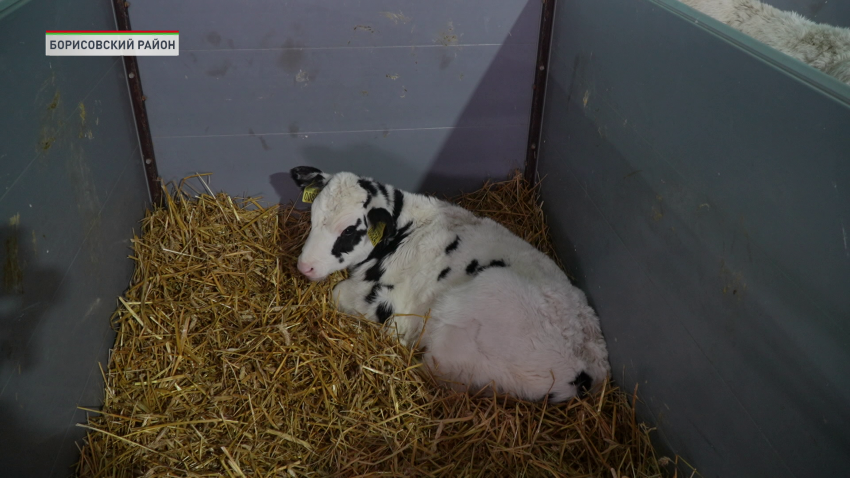 сельское хозяйство