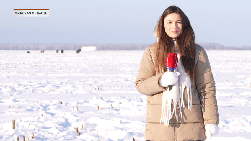 Ольга Наумова