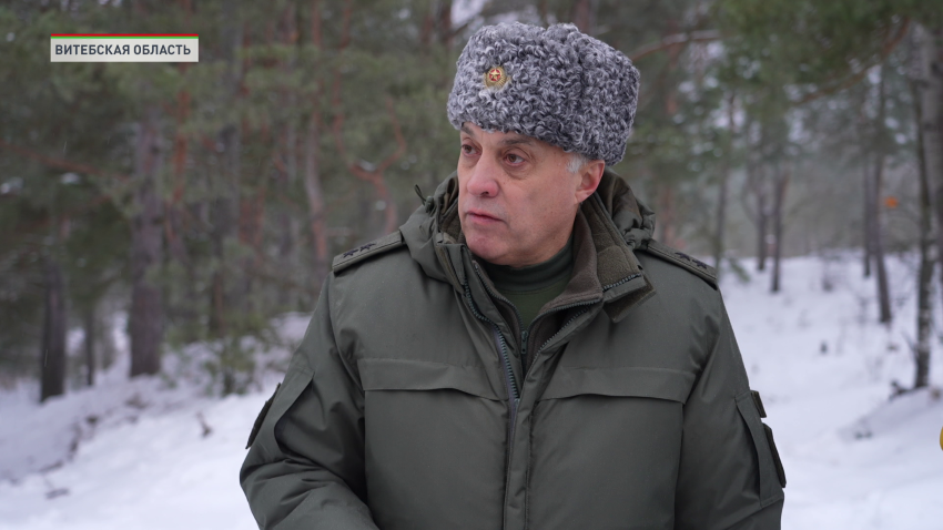 Александр Вольфович