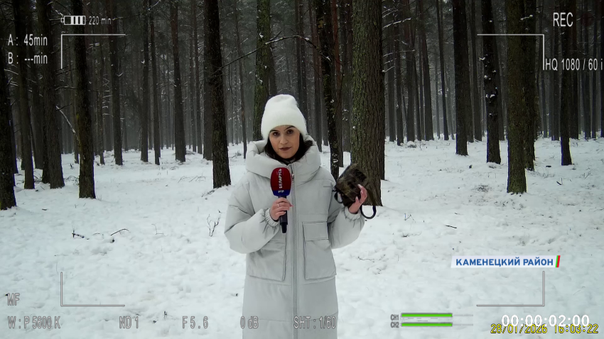 Беловежская пуща