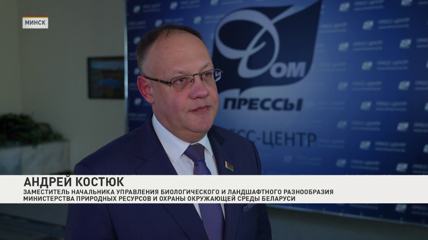 Андрей Костюк