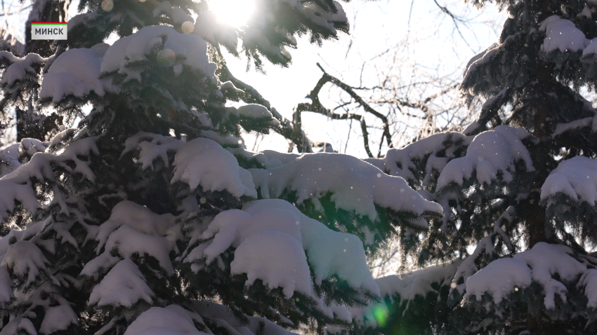 В Беларуси продолжают фиксировать случаи обморожения