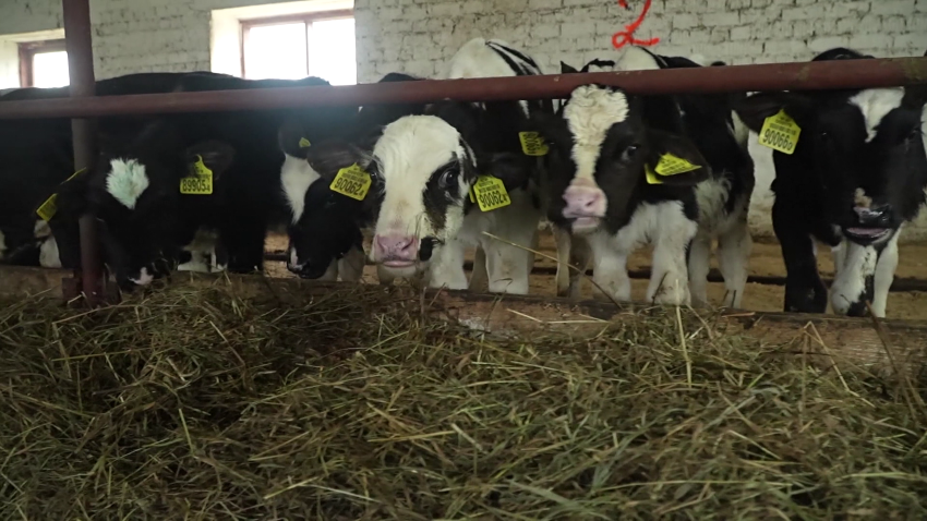 сельское хозяйство