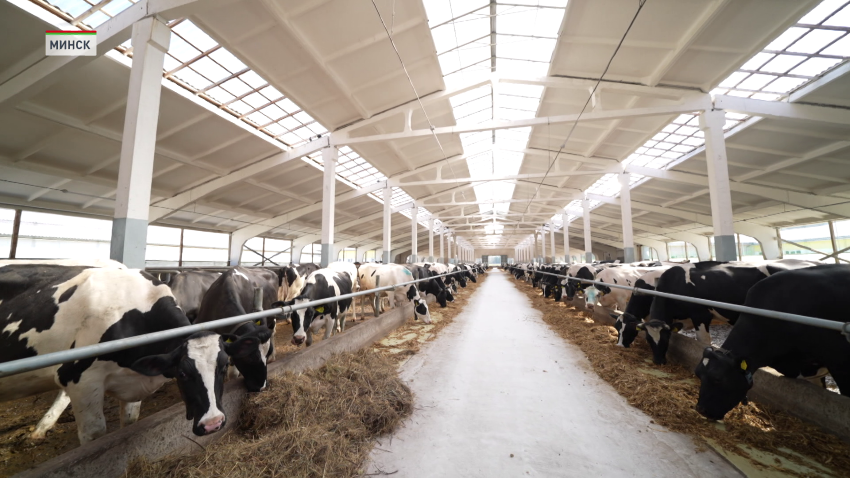 сельское хозяйство