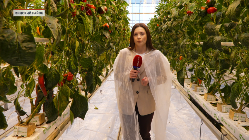 Ольга Наумова