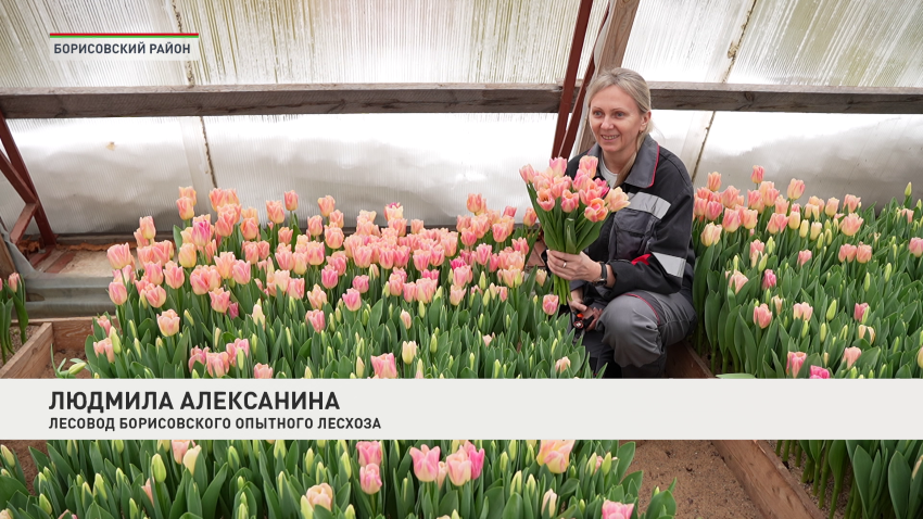 Людмила Алексанина