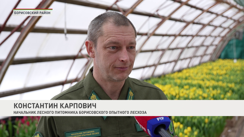 Константин Карпович