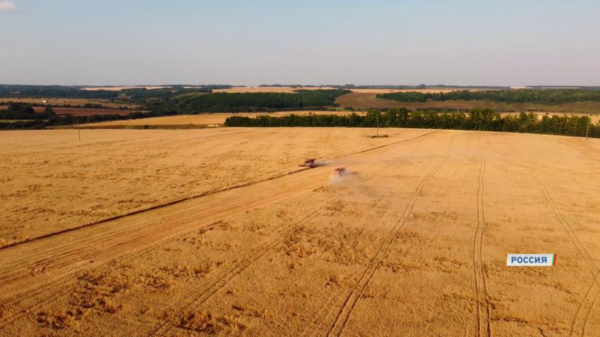 сельское хозяйство
