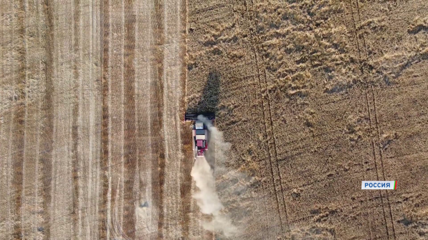 сельское хозяйство