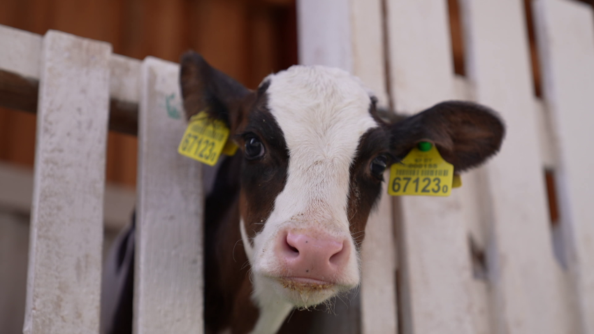 сельское хозяйство