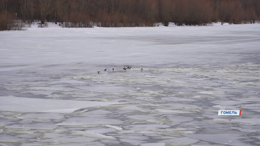Подтопления талыми водами зафиксированы в 11 районах Беларуси