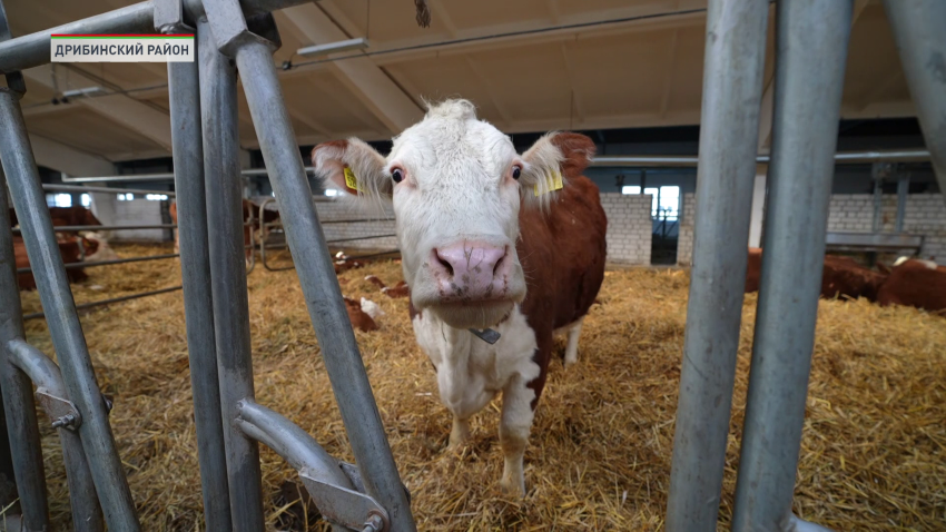 сельское хозяйство