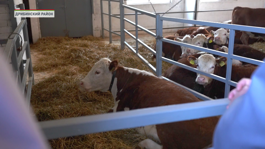 сельское хозяйство