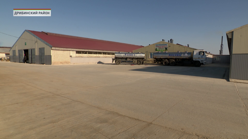 сельское хозяйство