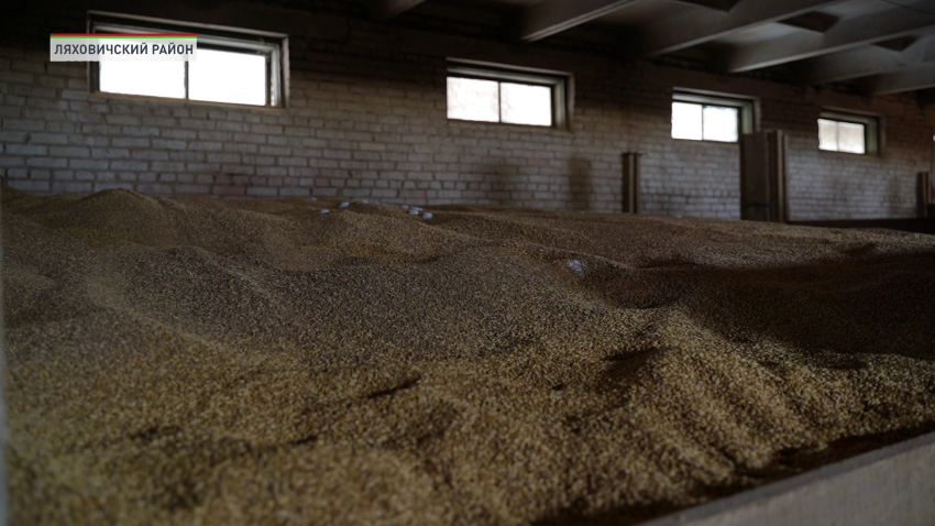 В Беларуси стартует весенняя посевная кампания