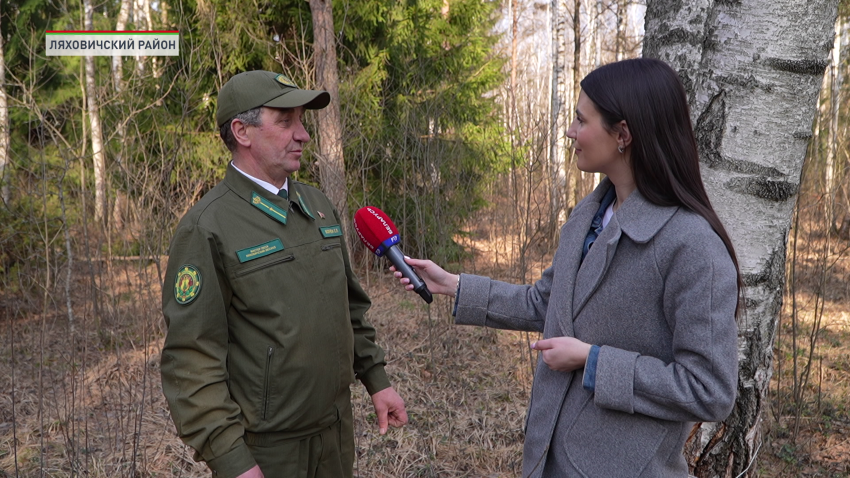 Сергей Волчек