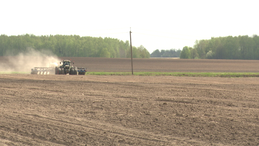 В Беларуси начался массовый сев ранних яровых зерновых и зернобобовых культур